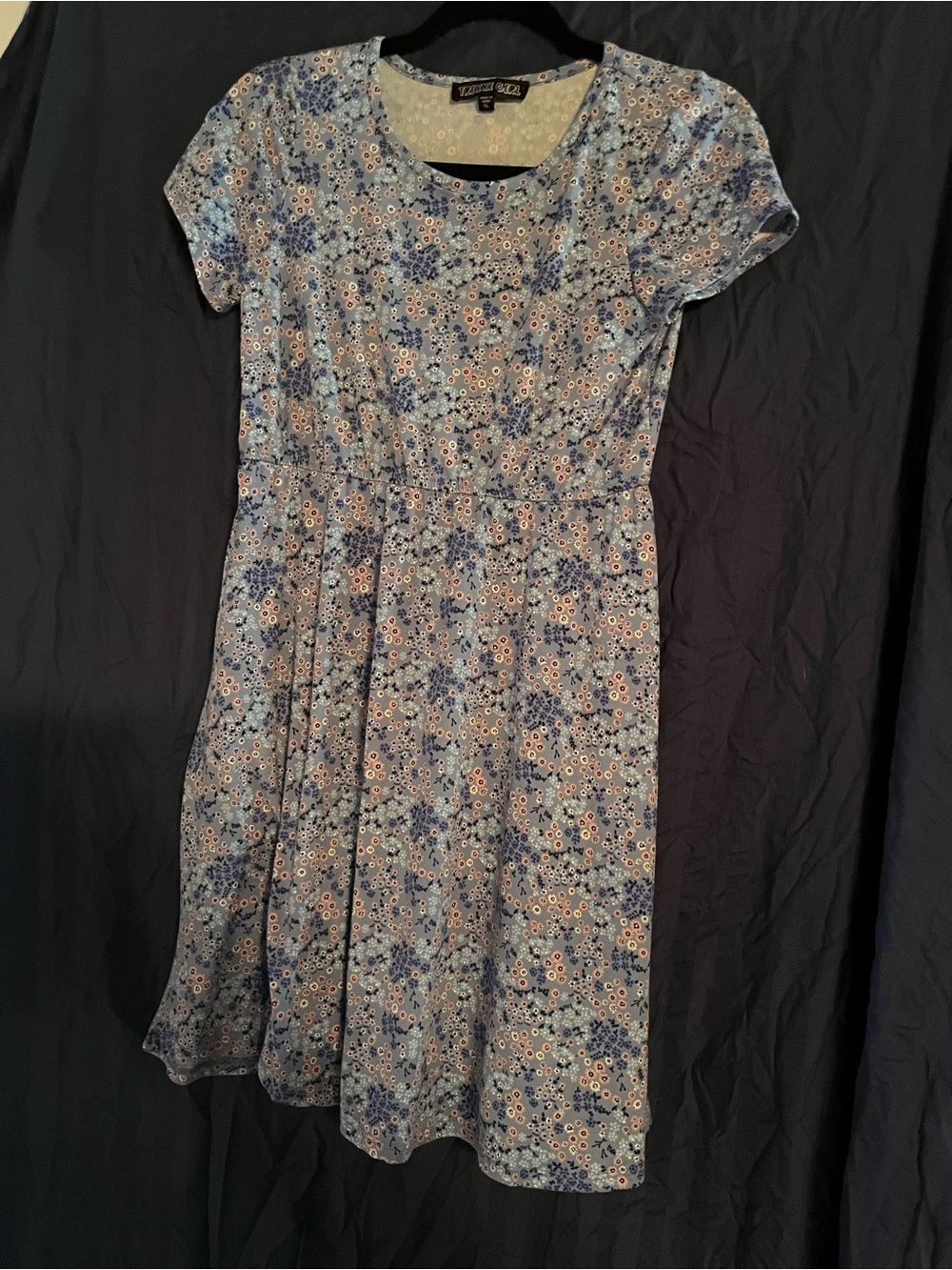 Trixxi Blue Floral Short Sleeve A-Line Dress